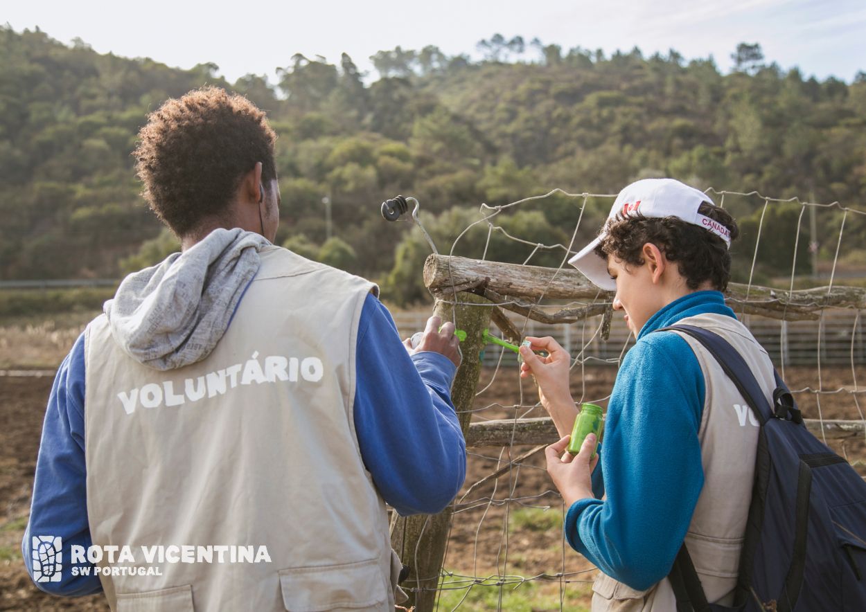 Jovens a fazer voluntariado na Rota Vicentina
