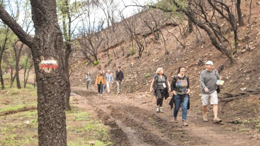 Caminhada do encontro de associados rota vicentina no caminho histórico