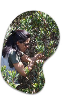 Mulher agachada no meio da vegetação