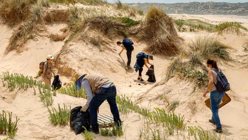 Grupo de pessoas a recolher lixo nas dunas de areia